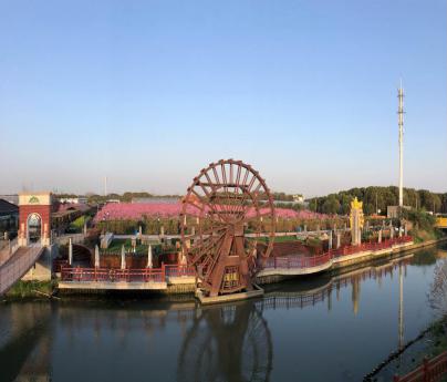 上海市郊休闲农业旅游线路_上海十一旅游攻略_上海乡村旅游特色线路