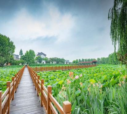 上海乡村旅游特色线路_上海市郊休闲农业旅游线路_上海十一旅游攻略