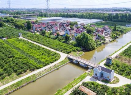 上海市郊休闲农业旅游线路_上海乡村旅游特色线路_上海十一旅游攻略