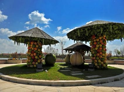 上海十一旅游攻略_上海市郊休闲农业旅游线路_上海乡村旅游特色线路