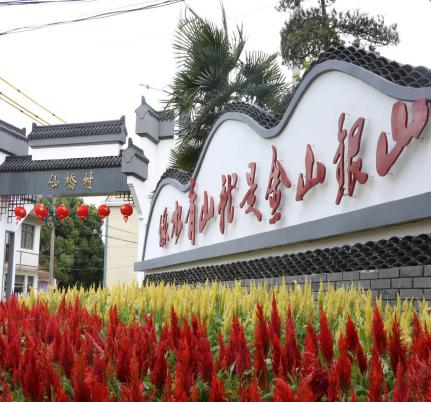 上海十一旅游攻略_上海乡村旅游特色线路_上海市郊休闲农业旅游线路