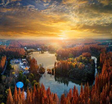 上海十一旅游攻略_上海乡村旅游特色线路_上海市郊休闲农业旅游线路