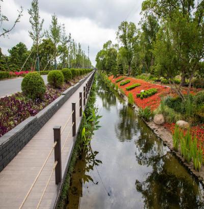 上海十一旅游攻略_上海乡村旅游特色线路_上海市郊休闲农业旅游线路