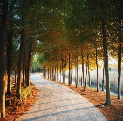 上海市郊休闲农业旅游线路_上海十一旅游攻略_上海乡村旅游特色线路