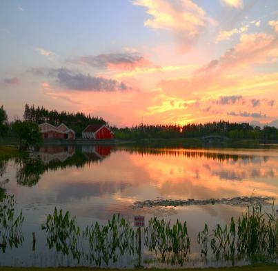 上海乡村旅游特色线路_上海十一旅游攻略_上海市郊休闲农业旅游线路