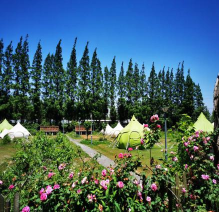 上海乡村旅游特色线路_上海市郊休闲农业旅游线路_上海十一旅游攻略