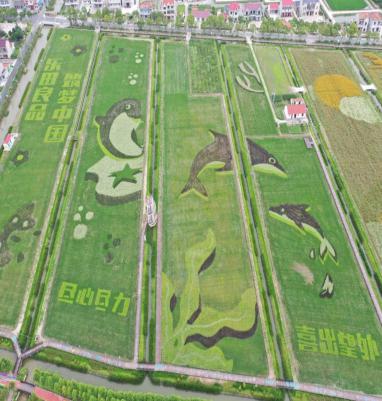 上海乡村旅游特色线路_上海十一旅游攻略_上海市郊休闲农业旅游线路