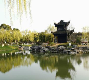 上海十一旅游攻略_上海乡村旅游特色线路_上海市郊休闲农业旅游线路