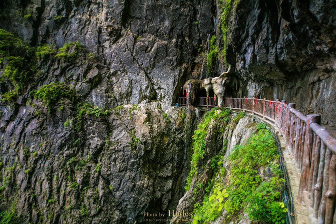镇安塔云山住宿_塔云山道教名山_塔云山金顶观景