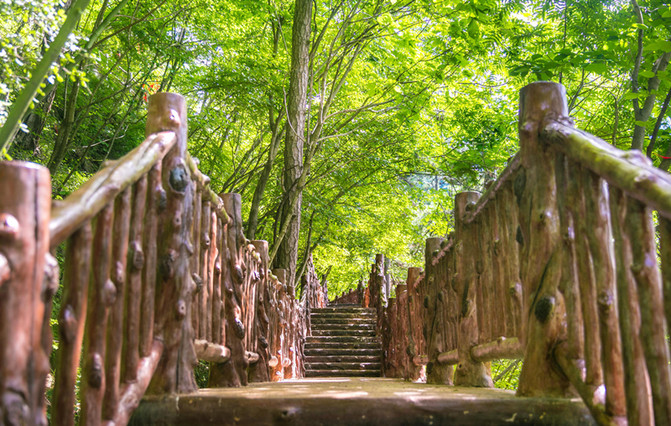 镇安塔云山住宿_塔云山金顶观景_塔云山道教名山