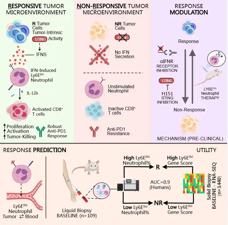科研论文写作平台_医学文献检索网站_美国国家医学图书馆