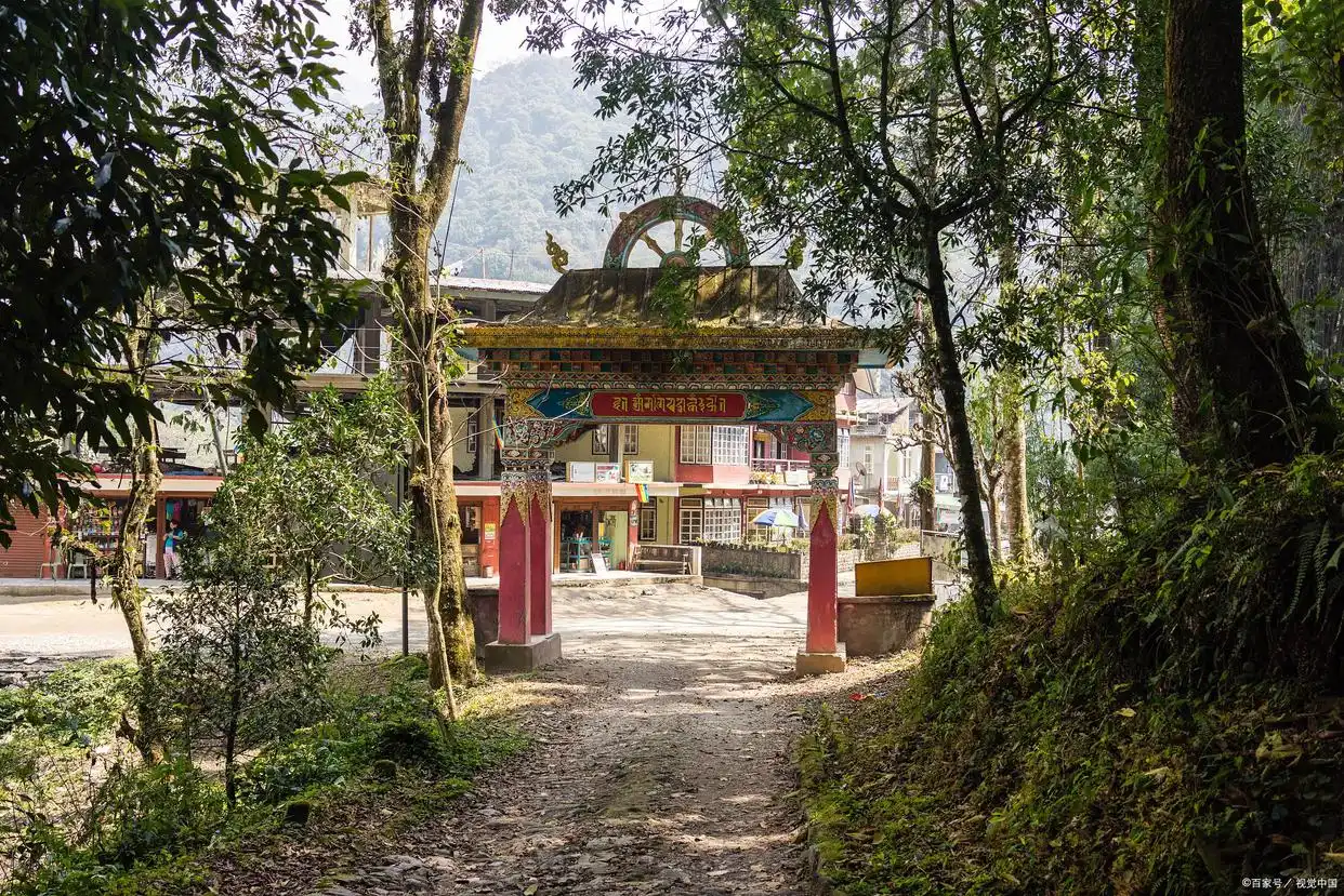 镇安一日游攻略_镇安塔云山住宿_金台山文化旅游区木王国家森林公园