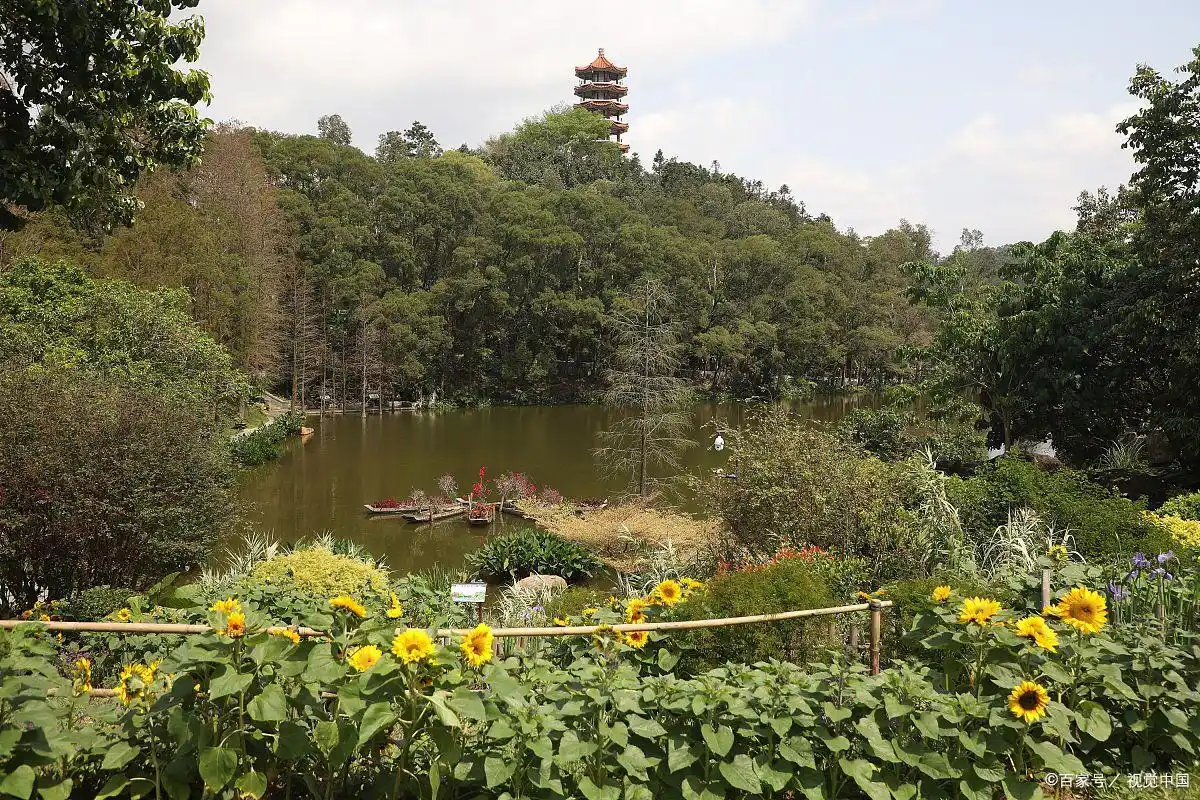 镇安塔云山住宿_金台山文化旅游区木王国家森林公园_镇安一日游攻略