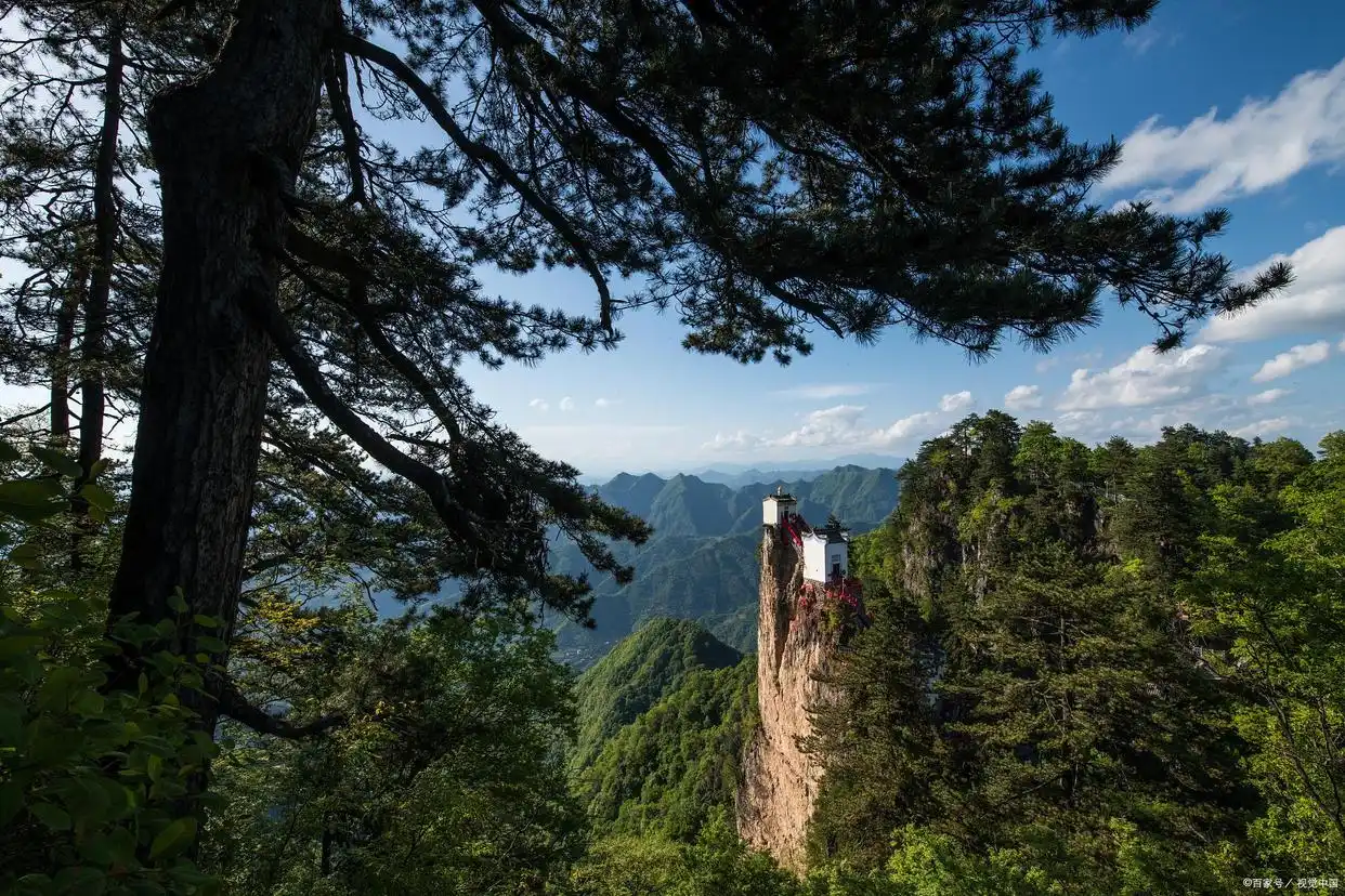 金台山文化旅游区木王国家森林公园_镇安塔云山住宿_镇安一日游攻略