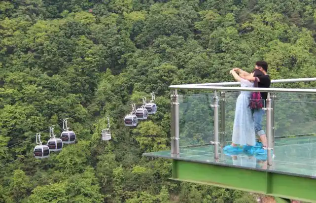 镇安塔云山住宿_寻梦大秦岭粽情塔云山_端午秦岭康养会客厅