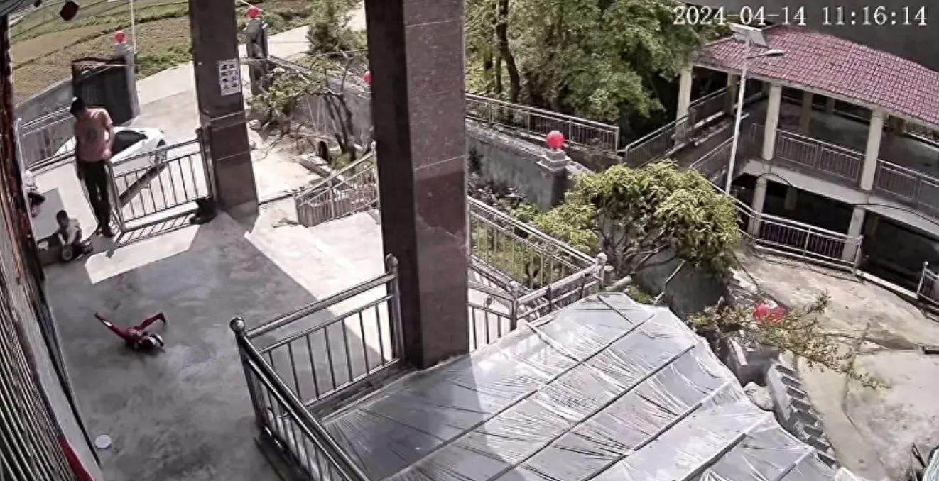 蛇吃小孩图片_蛇咬伤应急处理方法_孩子爸爸发现孩子被蛇咬伤