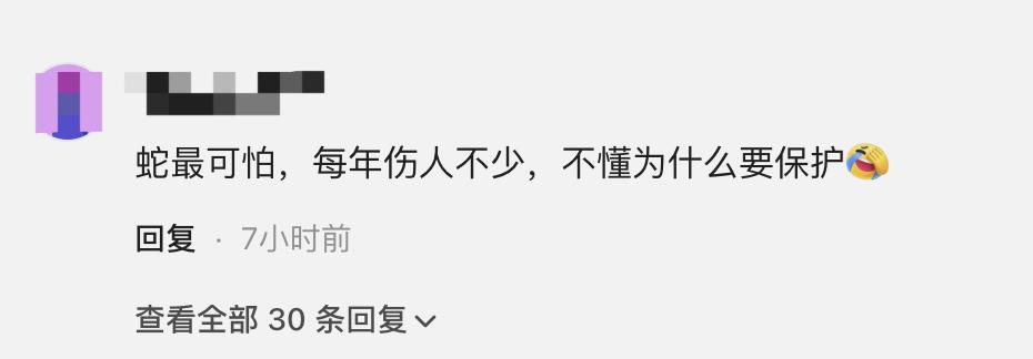 蛇吃小孩图片_蛇咬伤应急处理方法_孩子爸爸发现孩子被蛇咬伤