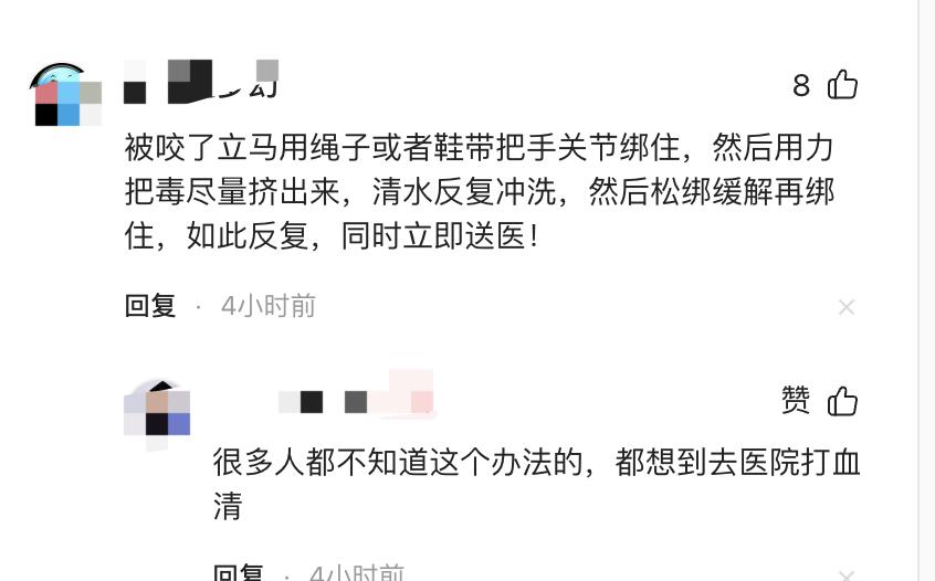 蛇吃小孩图片_孩子爸爸发现孩子被蛇咬伤_蛇咬伤应急处理方法