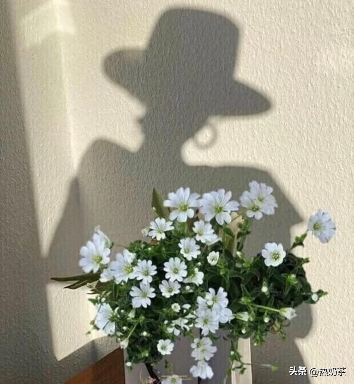 长期戴假发危害_头发留长有什么危害_假发头皮损伤