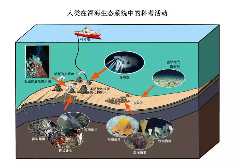 深海中生态系统变化_地球磁场倒转影响_动物迁徙导航机制
