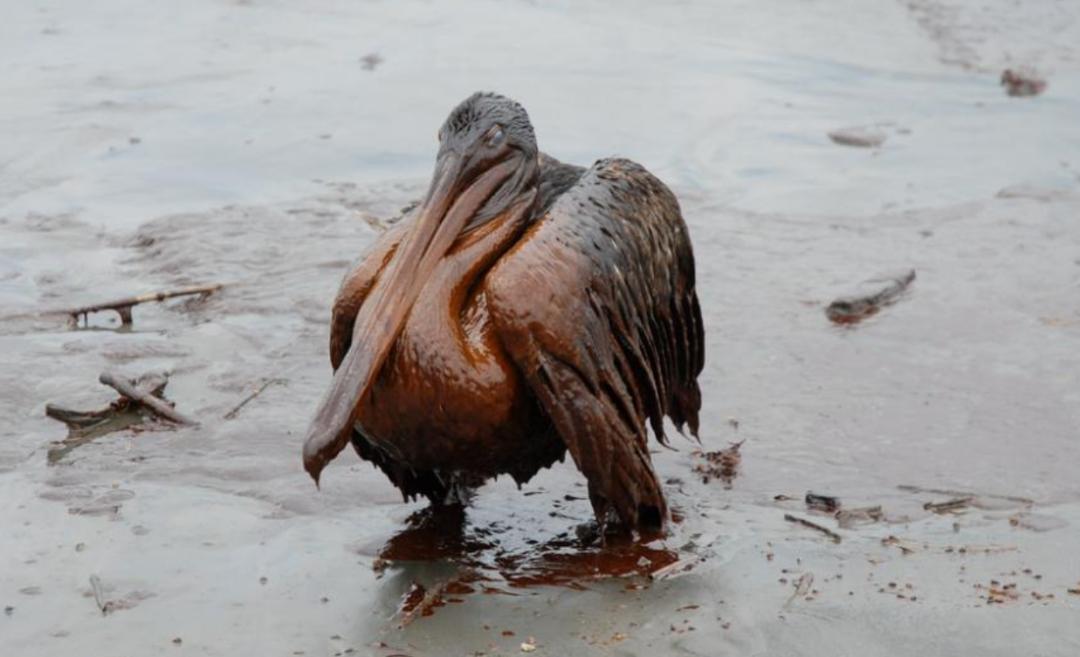 风力发电的条件_风力发电的基本原理_风力发电原理及构造