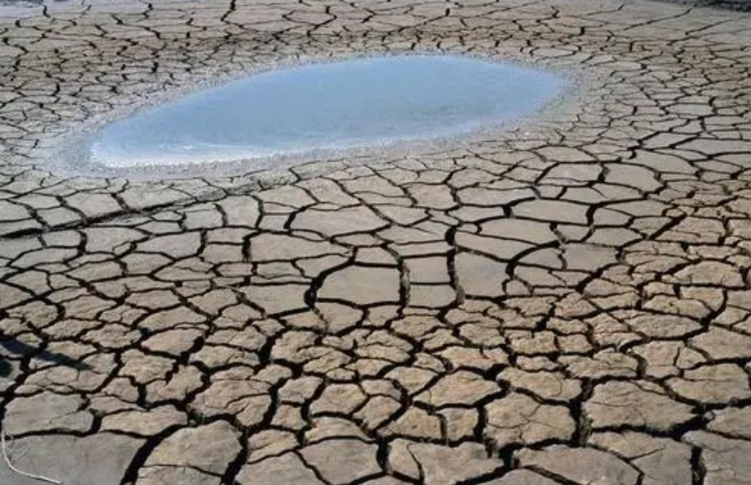 风力发电的条件_风力发电的基本原理_风力发电原理及构造
