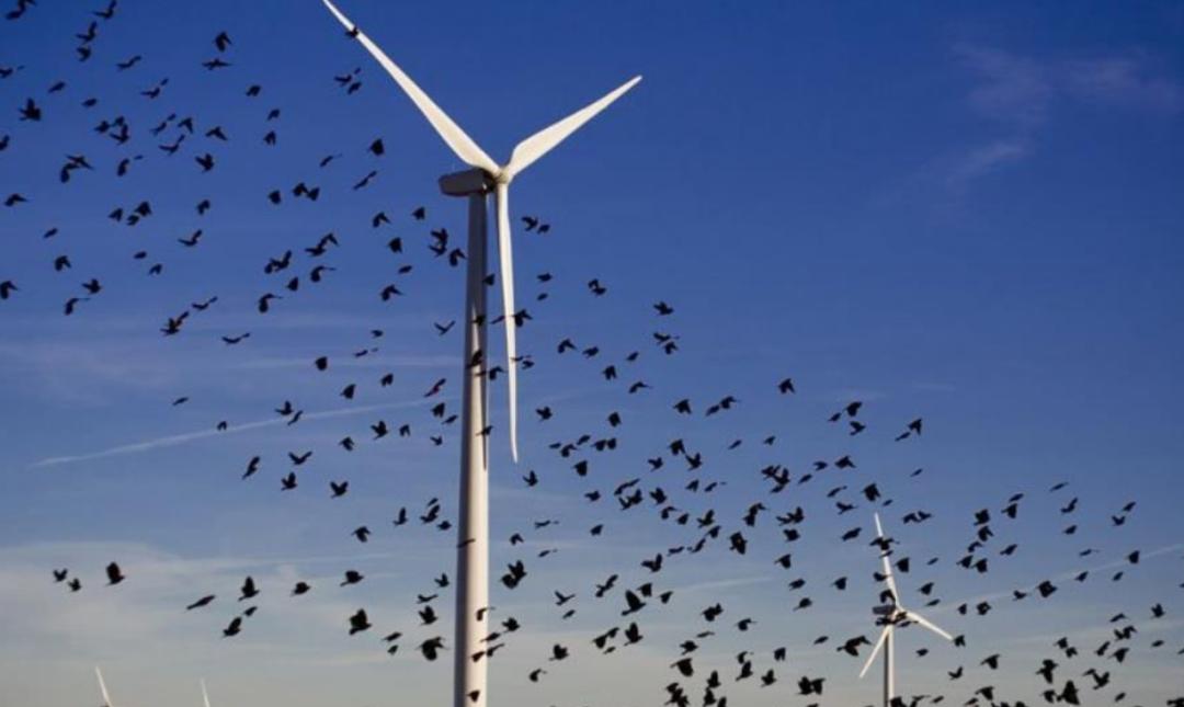 风力发电的基本原理_风力发电原理及构造_风力发电的条件