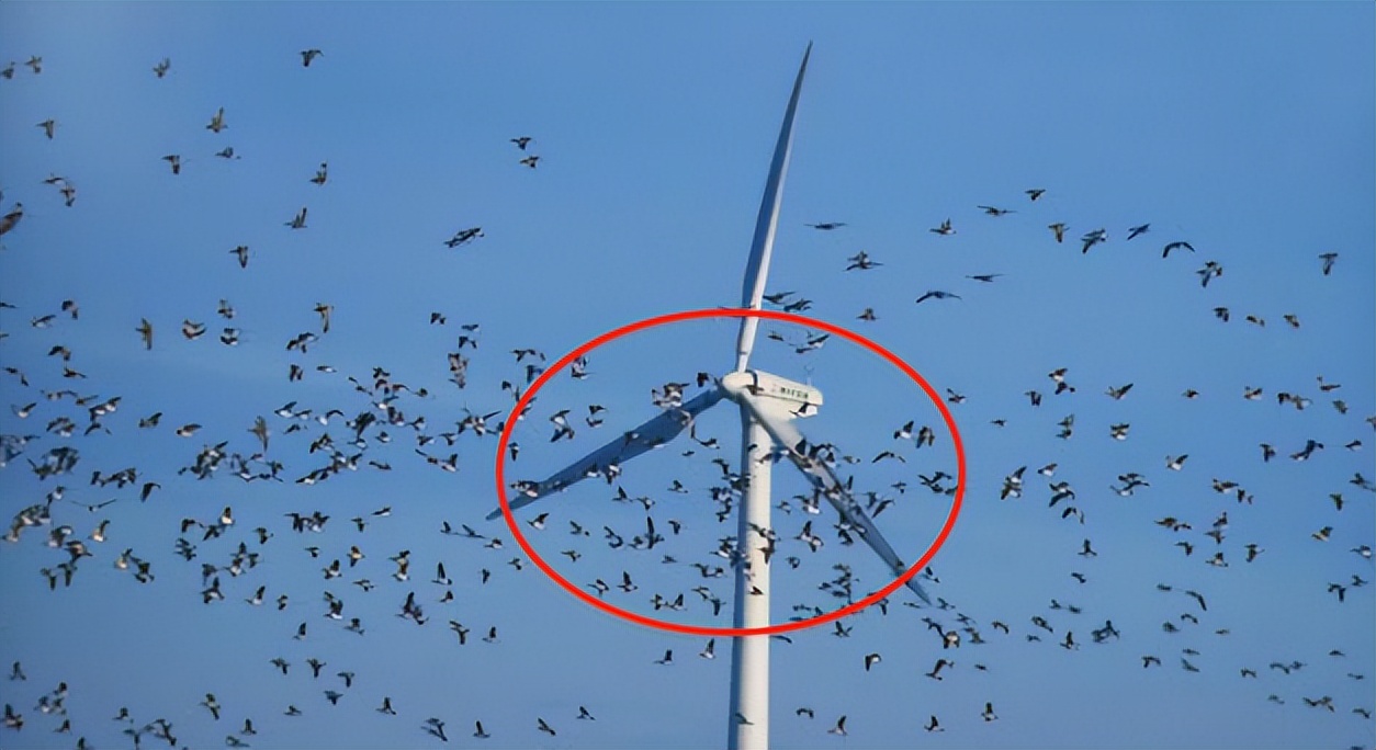 风力发电原理和危害_风能利用与环境保护_风力发电的基本原理