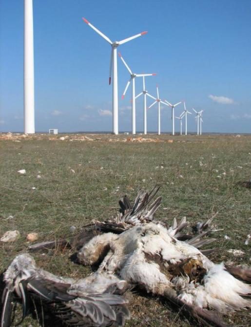 风力发电的基本原理_风能利用与环境保护_风力发电原理和危害