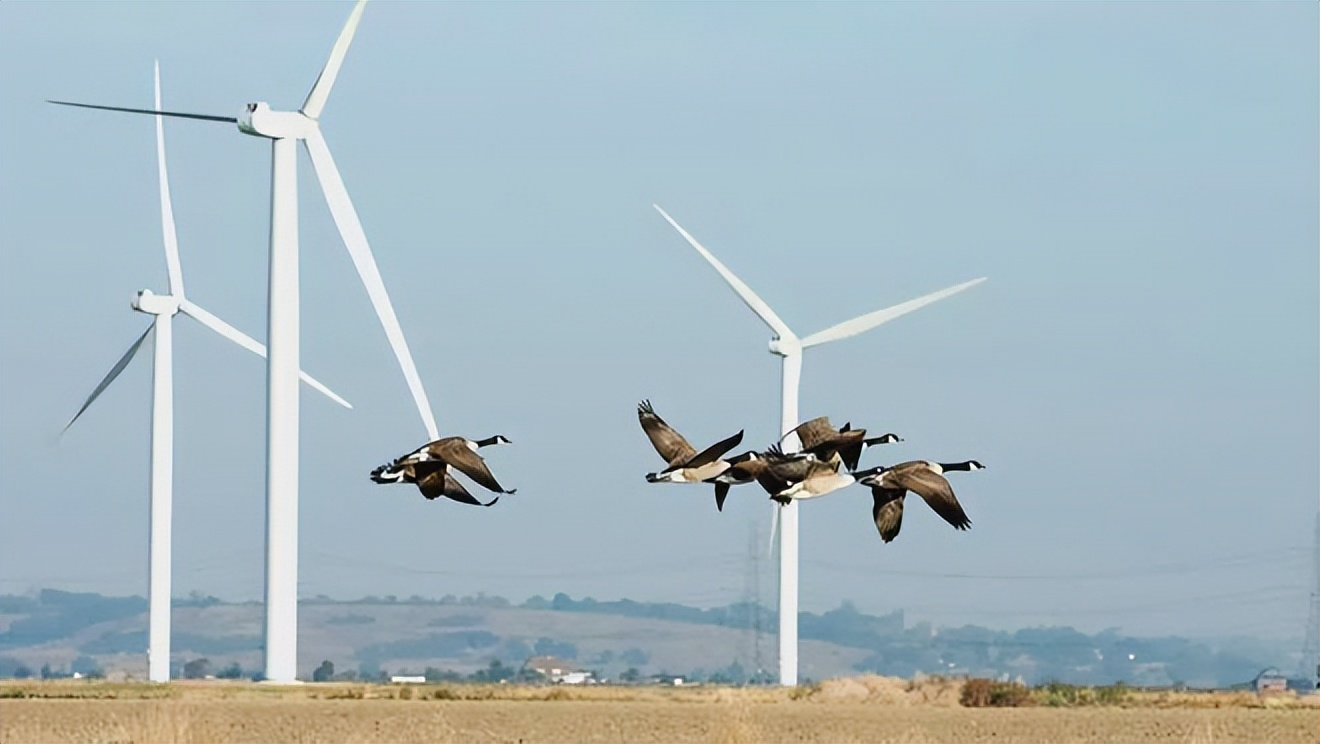 风力发电的基本原理_风能利用与环境保护_风力发电原理和危害