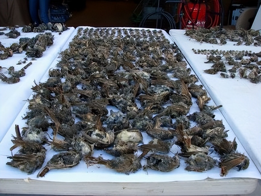 风能利用与环境保护_风力发电原理和危害_风力发电的基本原理