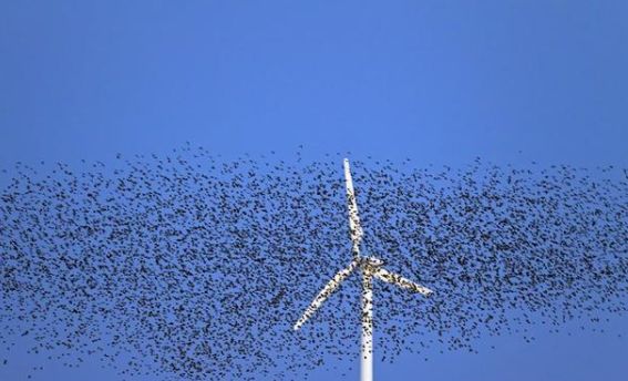 风力发电的基本原理_风力发电原理_风力发电环境影响