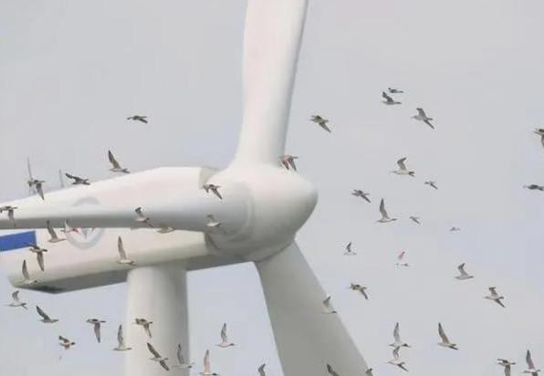 风力发电的基本原理_风力发电环境影响_风力发电原理