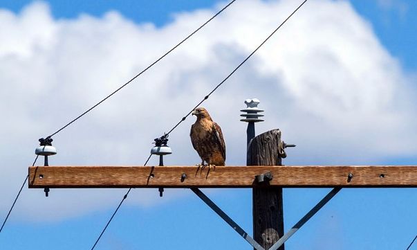 风力发电环境影响_风力发电的基本原理_风力发电原理