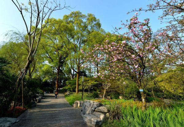 重庆方特科幻公园有哪些玩的_重庆旅游攻略_重庆景点分布