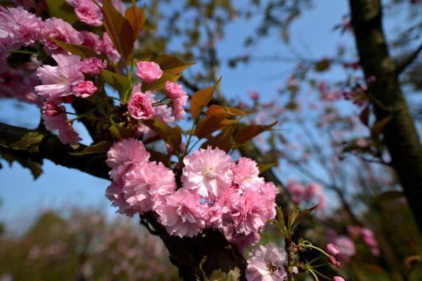 重庆旅游攻略_重庆景点分布_重庆方特科幻公园有哪些玩的