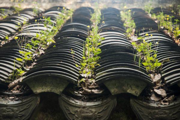 重庆方特科幻公园有哪些玩的_重庆旅游攻略_重庆景点分布