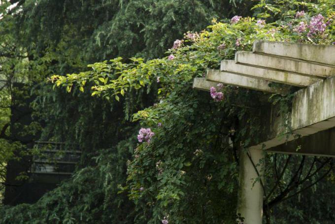 重庆方特科幻公园有哪些玩的_重庆景点分布_重庆旅游攻略