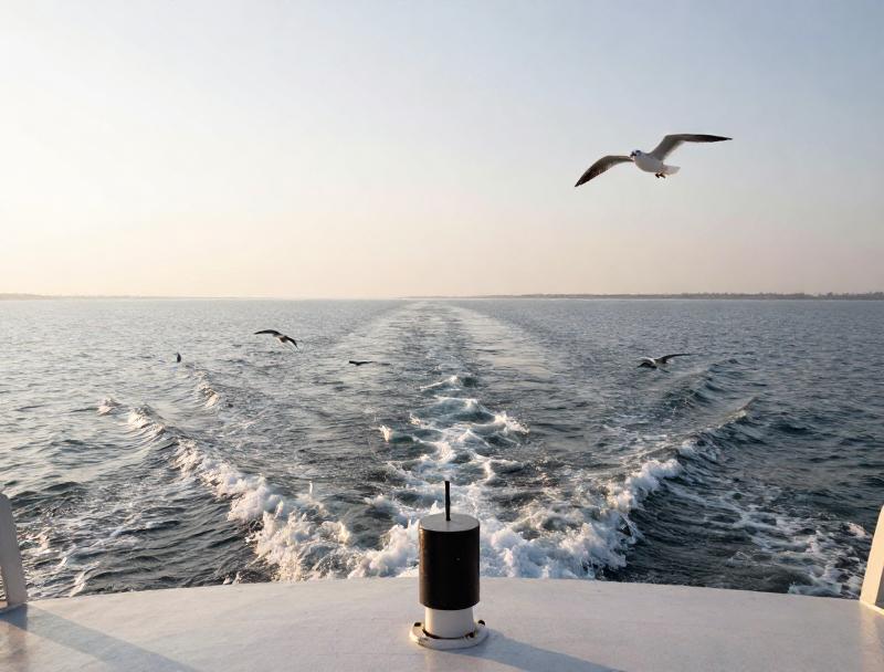 辽宁海边小城旅行_兴城农家院住宿多少钱_兴城觉华岛