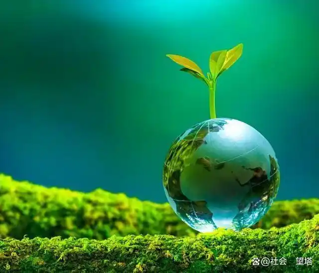 农业绿色发展_生态文明建设_农业生态保护