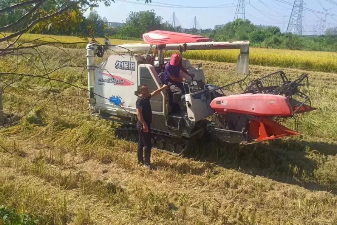 秸秆禁烧巡查_农业生态环境保护_农业生态保护