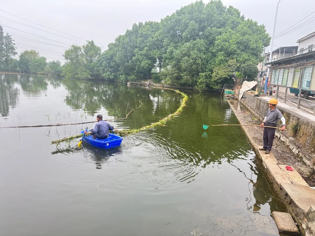 农业生态保护_秸秆禁烧巡查_农业生态环境保护