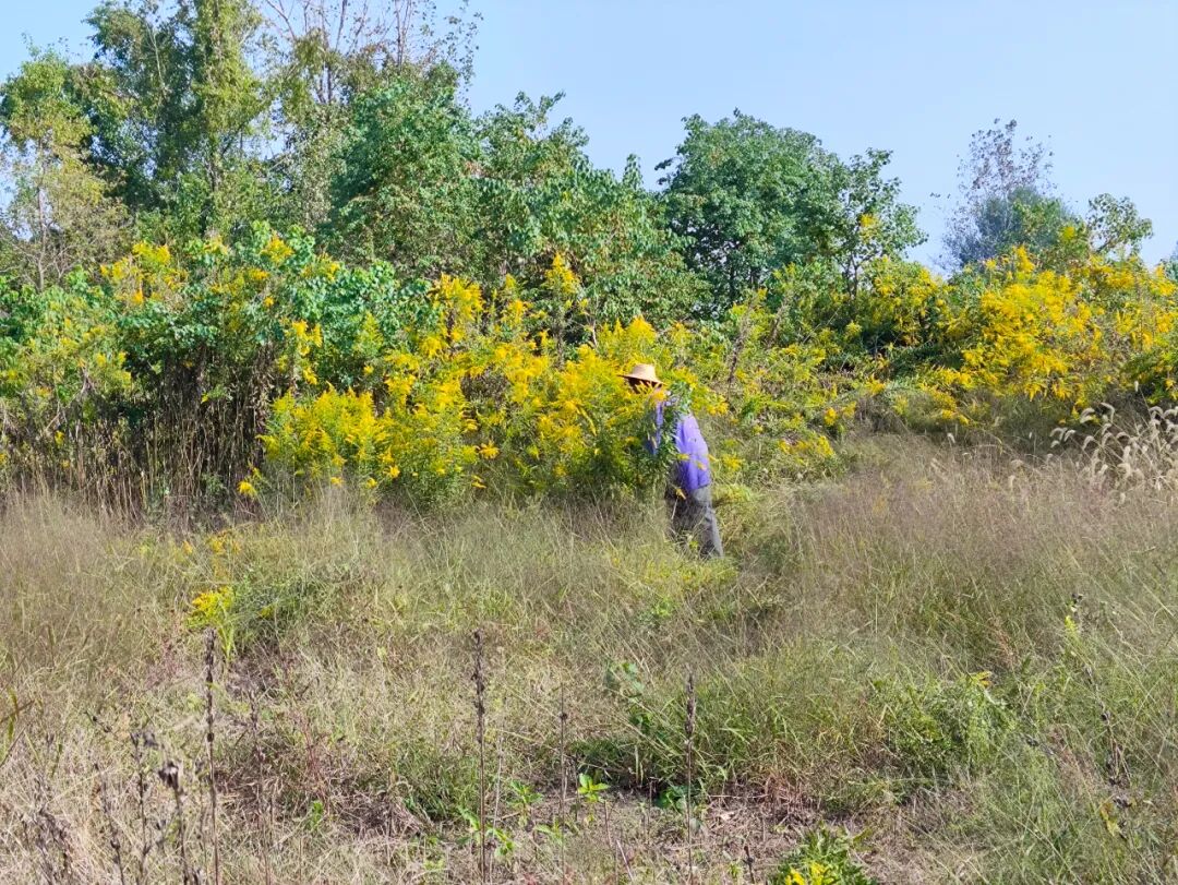 秸秆禁烧巡查_农业生态保护_农业生态环境保护