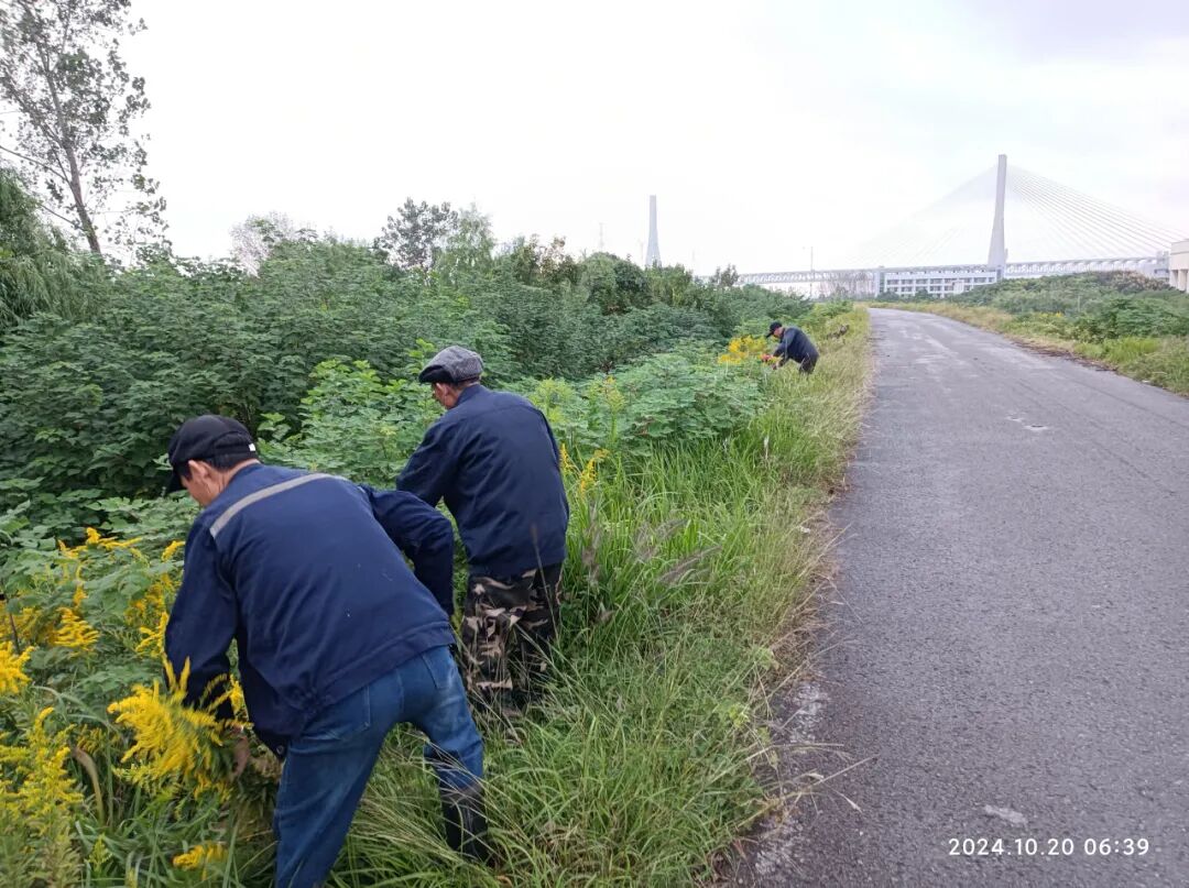 农业生态环境保护_农业生态保护_秸秆禁烧巡查