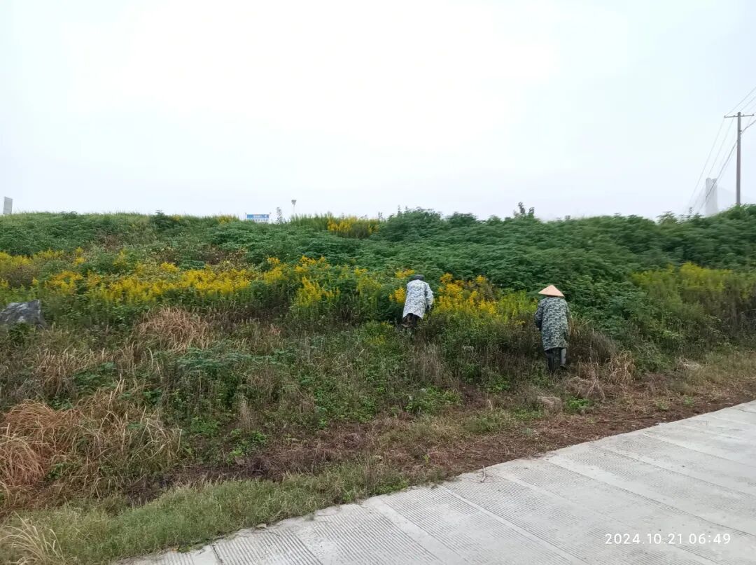 农业生态环境保护_秸秆禁烧巡查_农业生态保护