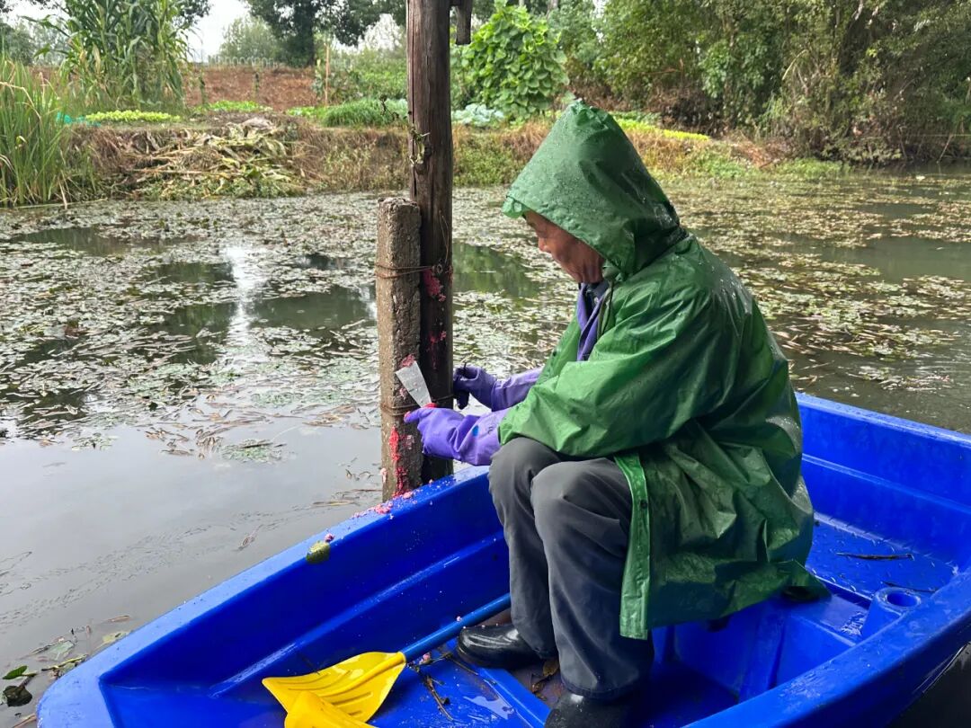 秸秆禁烧巡查_农业生态保护_农业生态环境保护