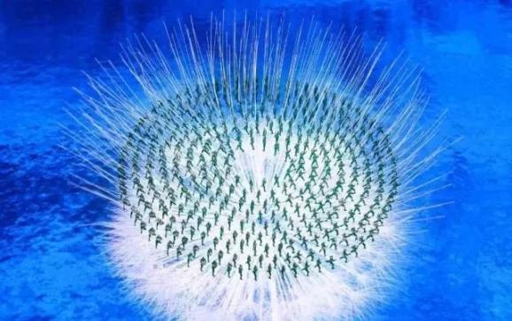 北京冬奥会立春开幕式_北京奥运会 五环_五环破冰中国式浪漫