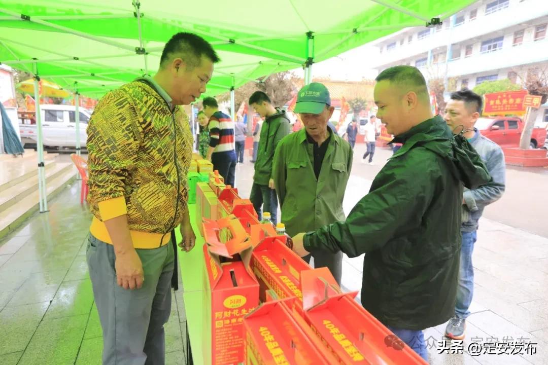 第三届定安军坡文化季_海南军坡文化_第十七届冼夫人信俗文化活动