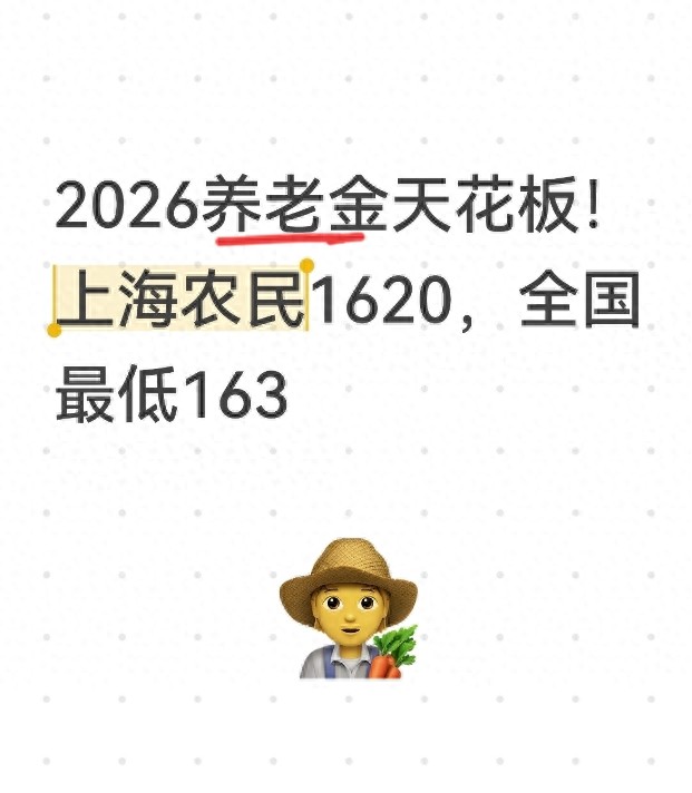2026年城乡居民养老保险待遇差异_全国基础养老金最低标准上调_2026年农村养老保险