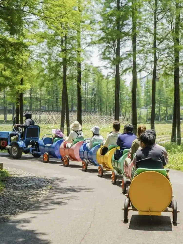 乌镇好好生活节_乌镇春日限定浪漫活动_苏州乌镇好玩吗